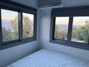 阿尔加拉斯蒂Daphne Tiny House的一间卧室设有2扇窗户和1张床铺