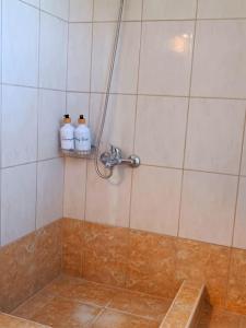 Palio LimaniNikola's apartments_King Pyrros的墙上有2瓶洗发水的淋浴