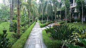 Uttar SimlabariSDD Bamboo Village Resort的花园中种有树木和植物的走道