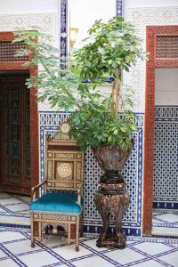 非斯Dar Dalila Fes的椅子和花瓶,在房间里植有植物