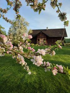 PolanaMiejsce po Dworze的房子前有粉红色花的树