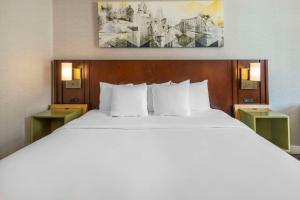 弗雷德里克顿弗雷德里克顿康福特茵酒店的一间卧室配有一张带2个床头柜的大型白色床