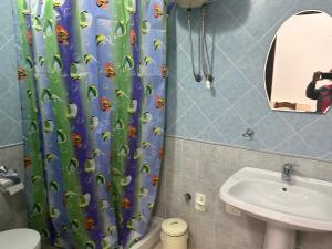 圣阿纳阿雷西Su Nuraghe的浴室设有淋浴帘、卫生间和水槽