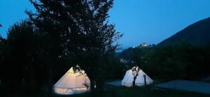 西斯纳迪奥拉Glamping Cisnadioara的两个白色帐篷在野外过夜