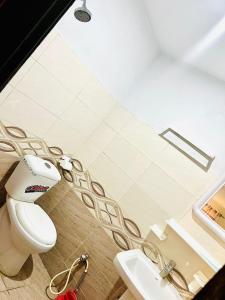 伊斯兰堡Oriole Luxury Hotel的一间带卫生间和水槽的浴室