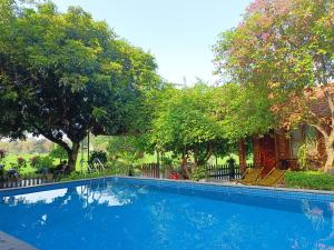 宁平Tam Coc Sunshine Homestay的一个带椅子和树木的蓝色游泳池