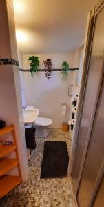 赛尼厄莱吉耶Chalet Idylka的浴室设有2个卫生间、水槽和淋浴。