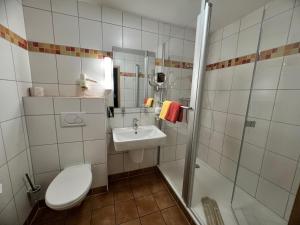 DamnatzHotel Steinhagen的浴室配有卫生间、盥洗盆和淋浴。