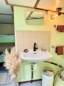 阿姆斯特丹FLOW的一个小房子里带水槽的浴室