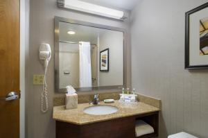 赫尔希哈里斯堡地区赫尔希智选假日酒店的一间带水槽和镜子的浴室以及一部电话