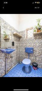 瓦加托Cocolawnstudios.Goa的浴室设有蓝色的卫生间和水槽。