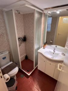 雅典Sunny Athens Apartment的带淋浴、卫生间和盥洗盆的浴室