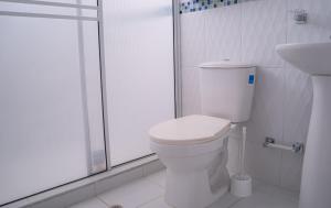 巴耶杜帕尔APARTAMENTO - AIRE ACONDICIONADO的白色的浴室设有卫生间和淋浴。