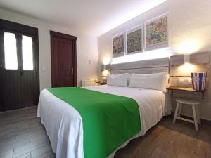 扎哈拉Casa Hotel LA JARANA的卧室配有绿色和白色的床和书桌。