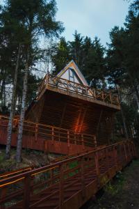 阿克恰阿巴德Montana Suite Bungalows的林中带甲板的树屋