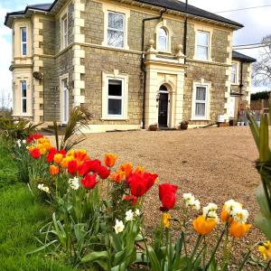 WroxallDubarry Downs Apartment with Hot Tub at Clevelands的前面有一束鲜花的房子