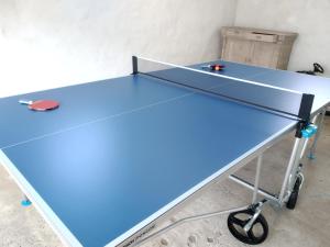 亚贝克B&B Het Polderhof的房间里的一张蓝色乒乓球桌