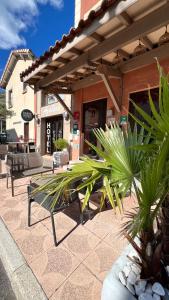 罗纳河畔的图尔农Logis Hôtel Restaurant Azalées的一座楼前的庭院,庭院内种植了长椅和棕榈树