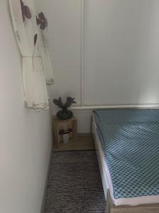 根尼斯迪亚斯Kiscsillag Apartman的一间卧室配有一张床和盆栽植物