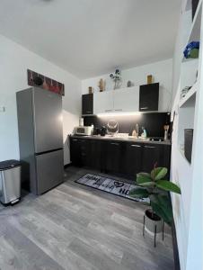根尼斯迪亚斯Kiscsillag Apartman的厨房配有不锈钢冰箱和植物