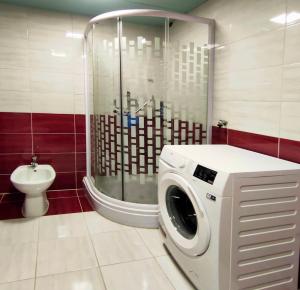 梅杜林Skajla Apartments的带淋浴的浴室内的洗衣机