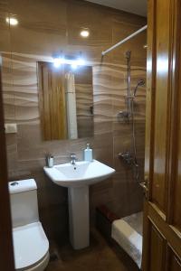 第比利斯guest house Merci的一间带水槽、卫生间和淋浴的浴室