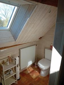 特雷尼La Treille的一间带卫生间和天窗的浴室