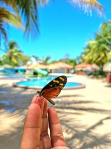 Los SantosParadise Resort的手指上拿着蝴蝶的人