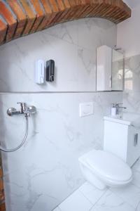 培拉特Hotel Boutique BUZI的白色的浴室设有卫生间和水槽。