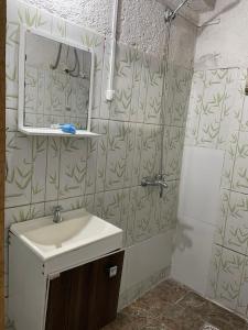 楚伊Tres Lunas Alojamiento Individual的一间带水槽、镜子和淋浴的浴室