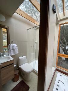 苏埃斯卡Casa del Oro的一间带卫生间和玻璃淋浴间的浴室