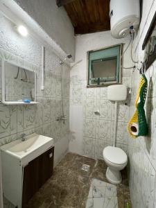 楚伊Tres Lunas Alojamiento Individual的一间带水槽、卫生间和镜子的浴室