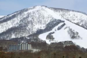 二世古新雪谷塔度假酒店的山地,有积雪覆盖,有建筑