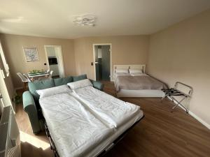 莱比锡Parkresidenz am Auensee Tolle Wohnung Neu - All Inclusive的一间卧室配有一张床、一张床和一张沙发