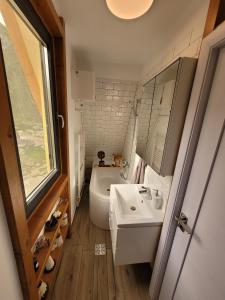 TrăisteniCasuta Floare de Fan的浴室配有盥洗盆、卫生间和浴缸。