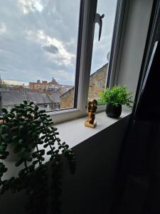 伦敦Stylish Studio near Kensal Green (E)的窗台,两株植物和一双靴子