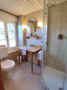 登茨林根Boutique-Hotel Krone的带淋浴、盥洗盆和卫生间的浴室