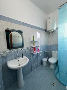 培拉特Idili Historik i Kodrës的一间带水槽、卫生间和镜子的浴室