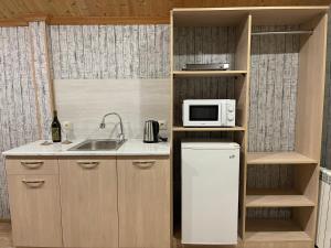 第比利斯VeraNda的厨房配有白色冰箱和微波炉