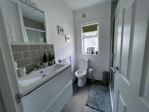 诺里奇Golden Triangle Townhouse的白色的浴室设有卫生间和水槽。