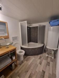克莱蒙费朗Le Guichard - Wifi - Parking - Terrasse的带浴缸、卫生间和盥洗盆的浴室