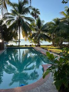 White HillMermaid Manor Belize的一座棕榈树和海洋游泳池
