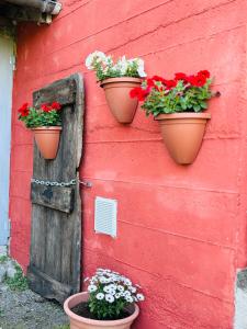 Borghetto Di BorberaA casa di Mirna的红墙上三个花盆,花朵花