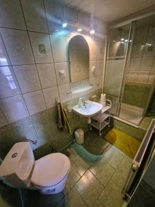 Witoszów DolnyRozbrykany Muflon的浴室配有卫生间、盥洗盆和淋浴。