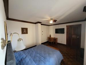 圣何塞Pura Vida Dream的一间卧室配有一张床和吊扇