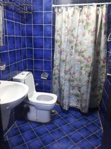 马特鲁港Porto Matroh Tours的蓝色瓷砖浴室设有卫生间和水槽