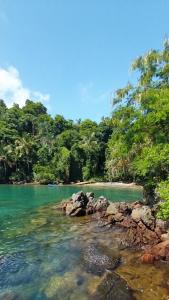 安格拉杜斯雷斯Chalés da Longa的海水中一片拥有岩石和树木的海滩