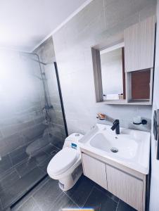 圣斐利-银港Apartment in Sosua - 4 Minutes From The Airport的浴室配有卫生间、盥洗盆和淋浴。