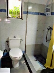 斯基亚索斯镇Rafaela’s House的一间带卫生间和淋浴的浴室