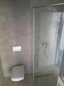 埃格尔Hotel Merlot的浴室设有玻璃淋浴间和卫生间